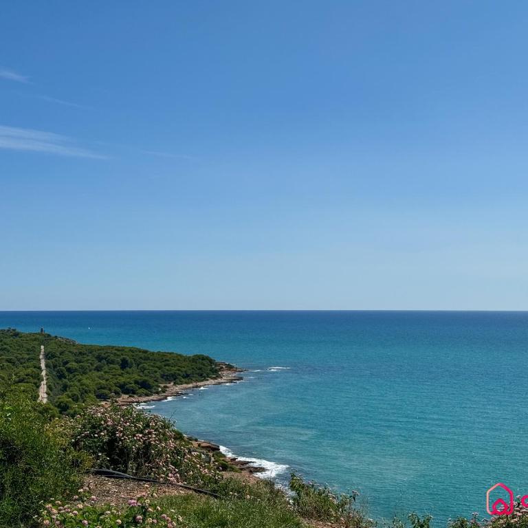 La Alboreda - Two-Bedroom Apartment - 17