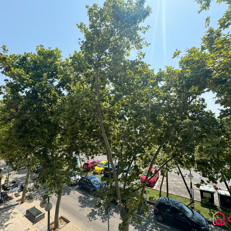 La Alboreda - Two-Bedroom Apartment - 21