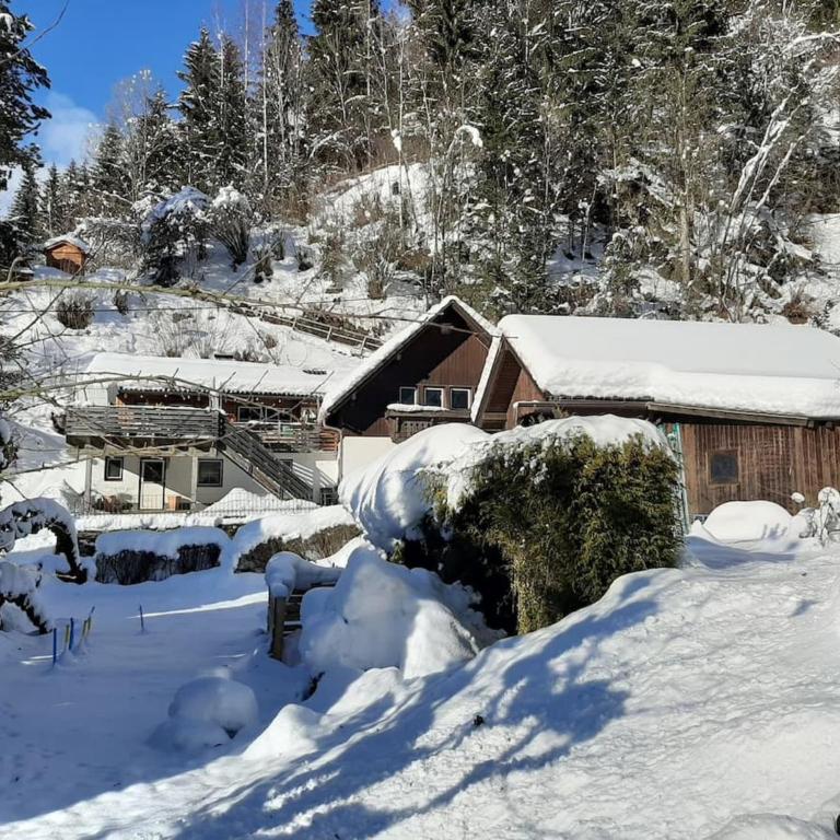 Apartment Feld am See near Ski Slopes - Apartment mit 2 Schlafzimmern - 66