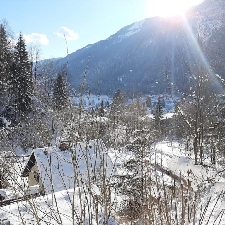 Apartment Feld am See near Ski Slopes - Apartment mit 2 Schlafzimmern - 69