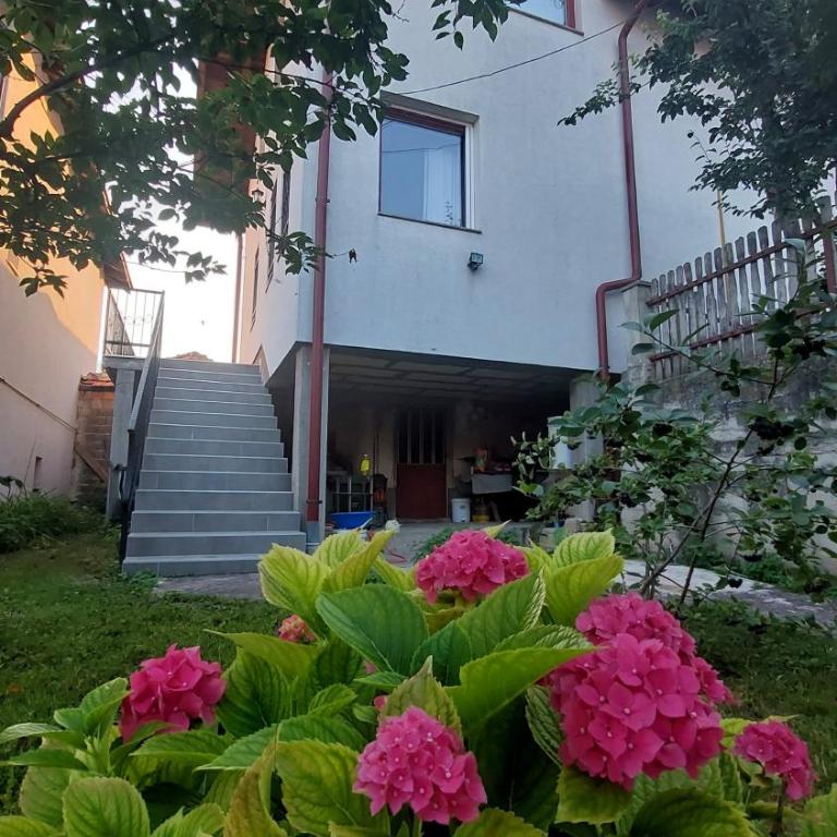Sweet Old Town Flat - Apartman sa 1 Spavaćom Sobom - 3