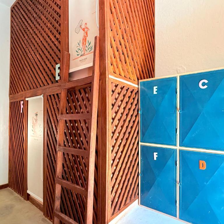 Masaya Cartagena - Bed in 6-Bed Mixed Dormitory Room - 4