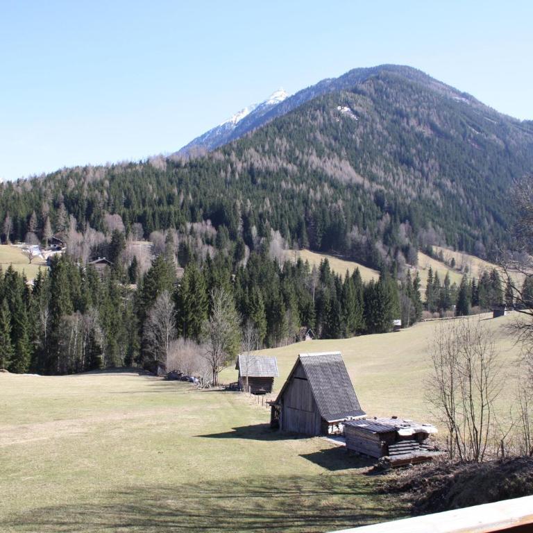 Sauna-Apartment in Schladming - Apartment mit 1 Schlafzimmer - 6
