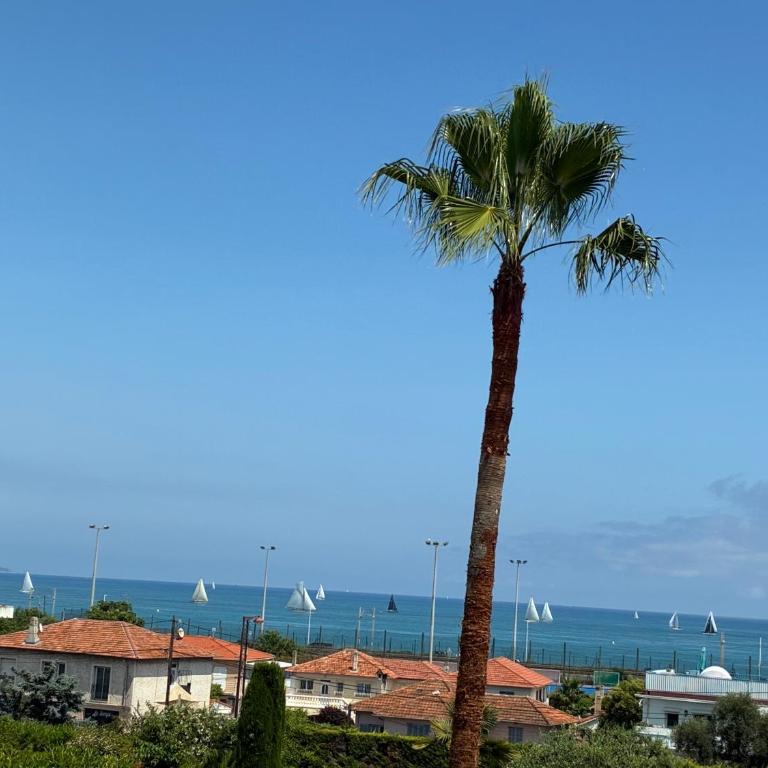 Magnifique 2 pièces balcon Vue Mer - Apartment mit 1 Schlafzimmer - 5