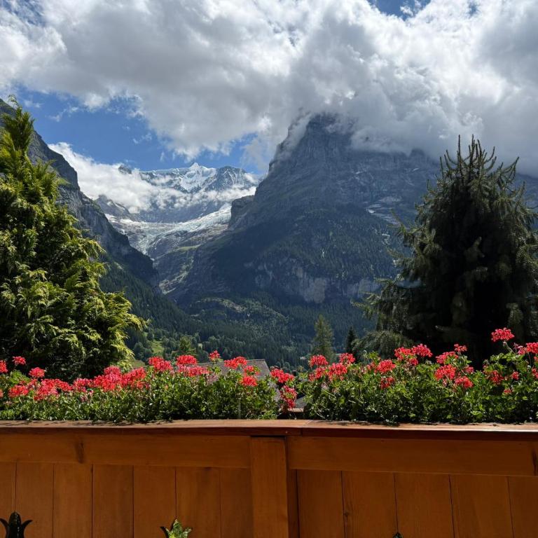 Orion - Luxuriöse Duplex Wohnung in Grindelwald - Apartamento de 5 dormitorios - 32