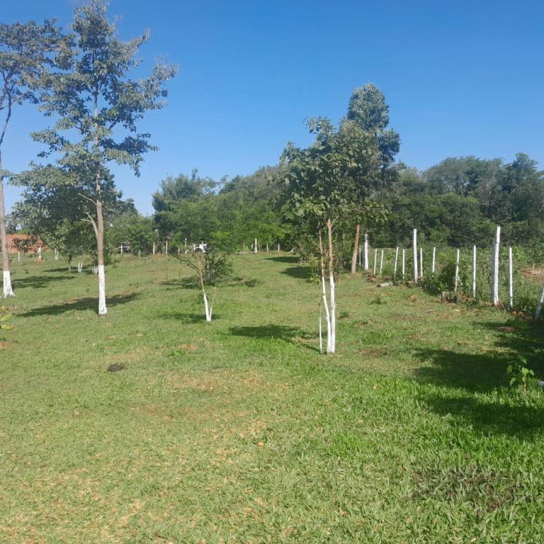 María Elene - Casa de 4 dormitorios - 11