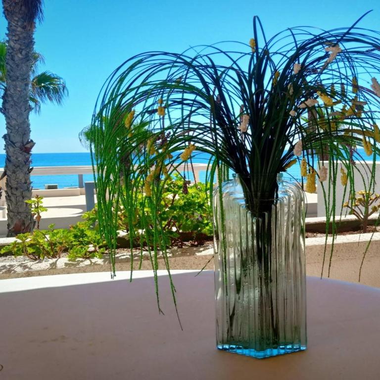 Apartamento-Primera línea playa-La Mata-Alicante - Two-Bedroom Apartment - 4