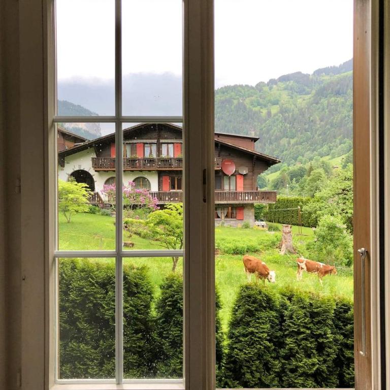 Waterfall Views-Stylish Design-Big Comfy Bed - Apartment mit 1 Schlafzimmer - 20