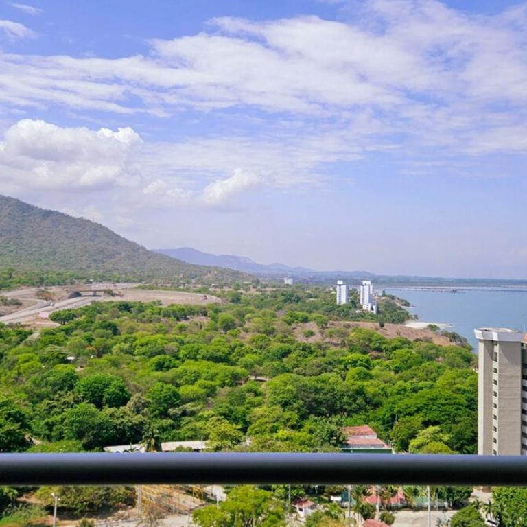 Caribbean Refuge - Beach and Pool Access 10th Floor - Apartamento de 1 dormitorio - 6