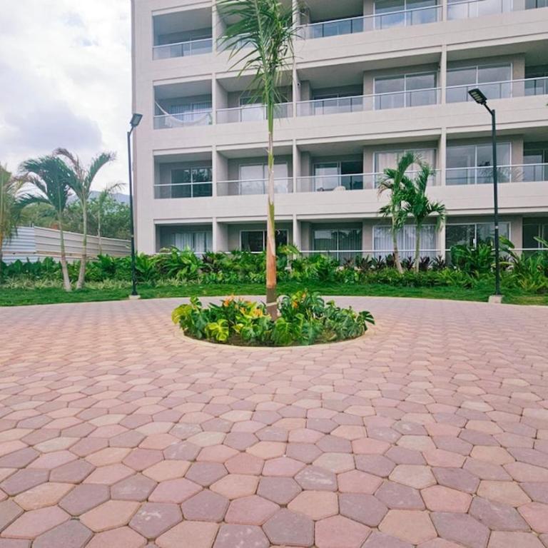 Caribbean Refuge - Beach and Pool Access 10th Floor - Apartamento de 1 dormitorio - 45
