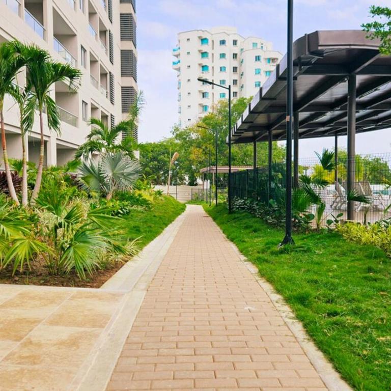 Caribbean Refuge - Beach and Pool Access 10th Floor - Apartamento de 1 dormitorio - 52