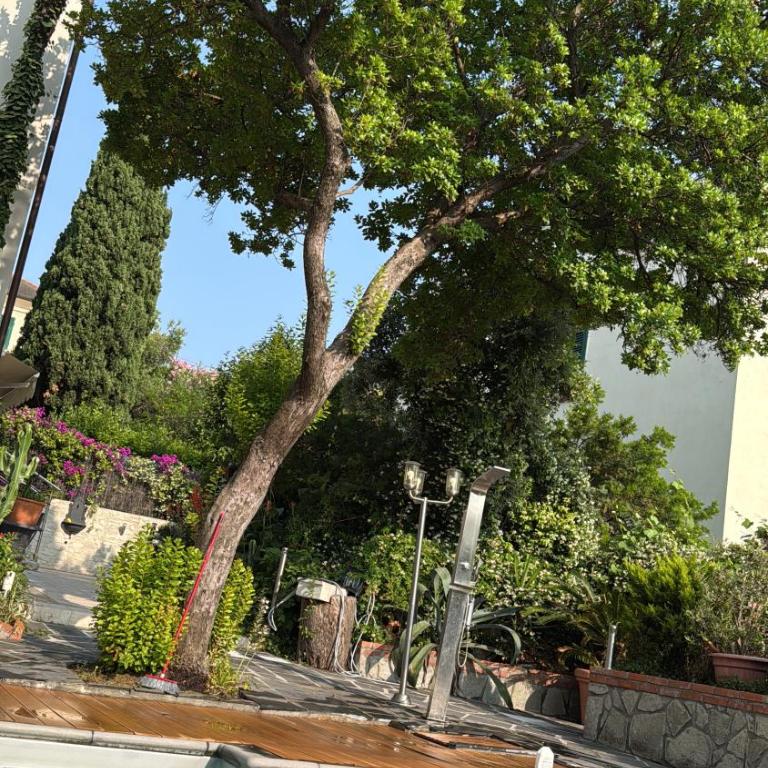 SUITE FLORE - Oasi di Relax in un elegante VILLA - Double Room with Park View - 16