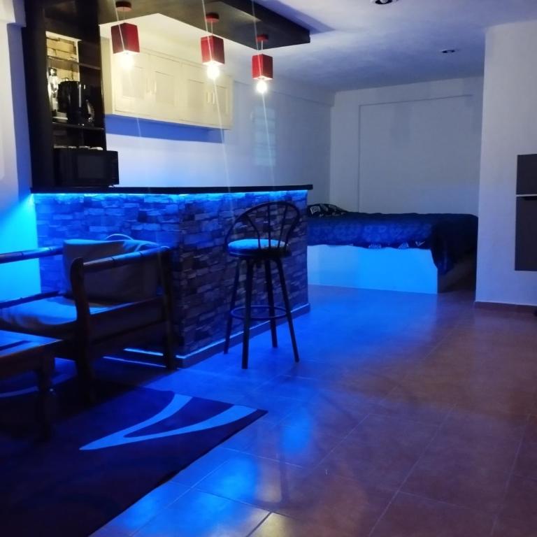 nuevo y comodo departamento - One-Bedroom Apartment - 1
