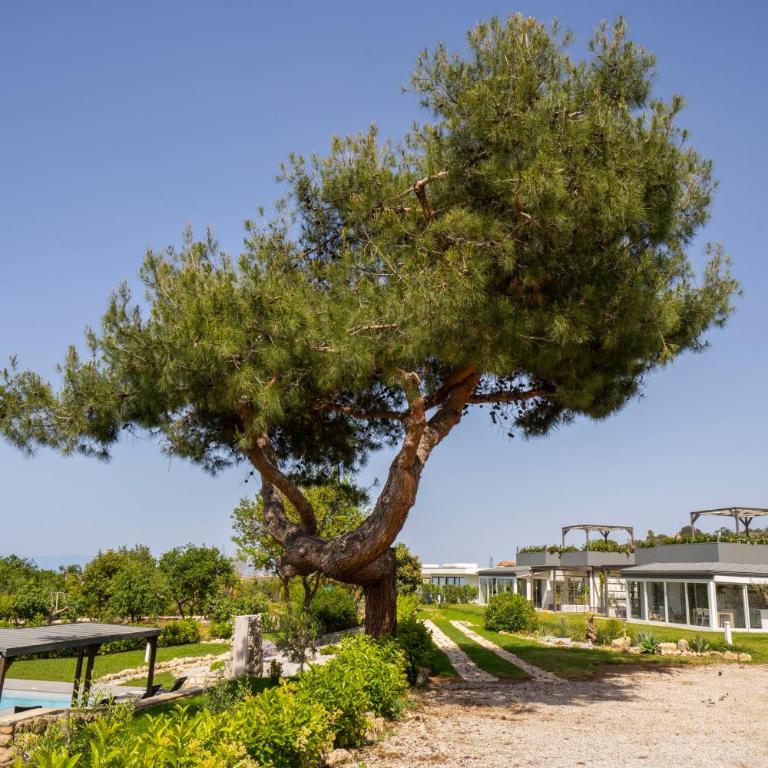 Alle Preziose Dimore - Villa con 2 Camere da Letto - 10