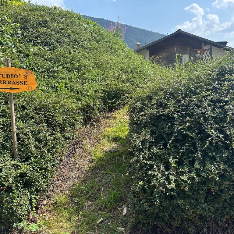 Villa Octogon - Free Parking - Wii - SportArena - Deluxe Studio mit Kingsize-Bett - 22