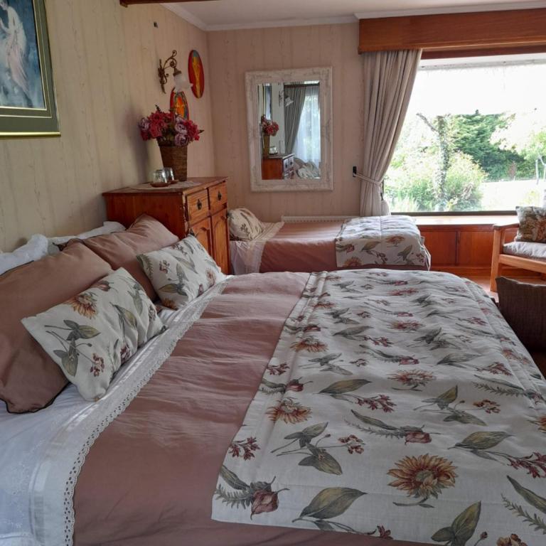 Hostal Möller - Suite Deluxe con cama extragrande - 3