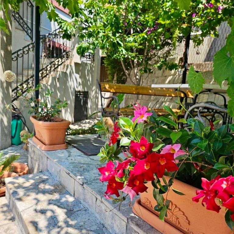Villa Vi apartmen in a villa with a swimming pool - One-Bedroom Apartment with Pool View - 48