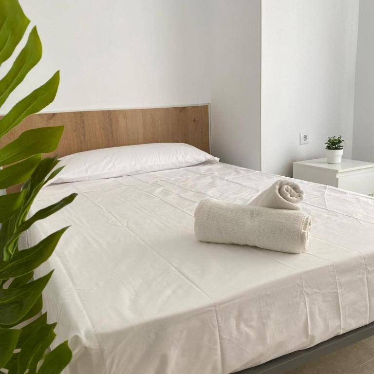 Apartamentos SOL y ARENA - Apartamento de 2 dormitorios - 5