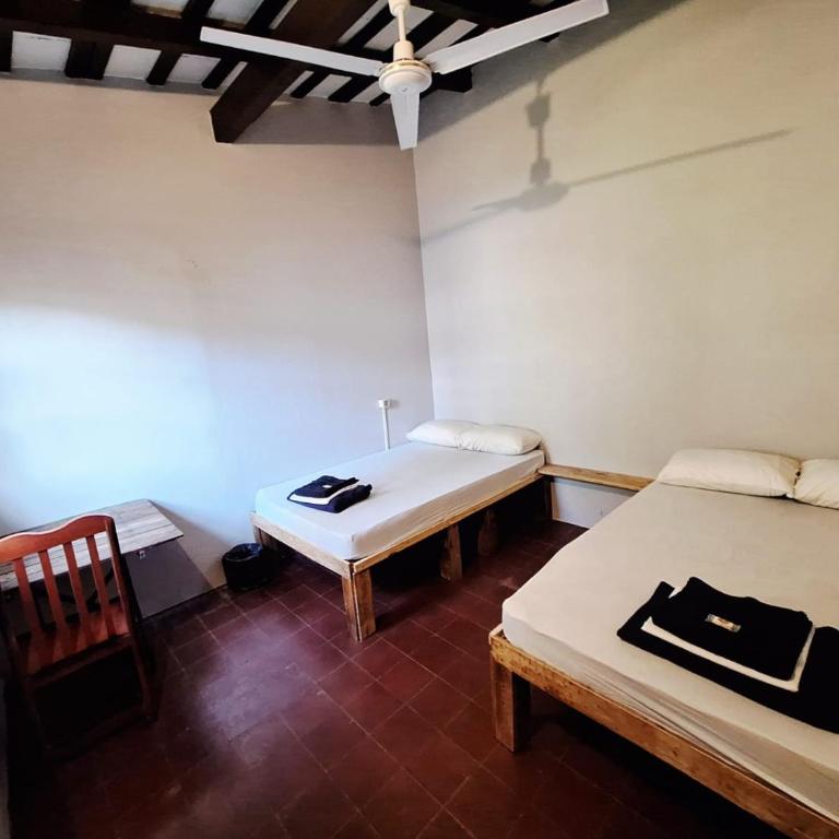 Mediterraneo Youth Hostel - Twin Room with Garden View - 1
