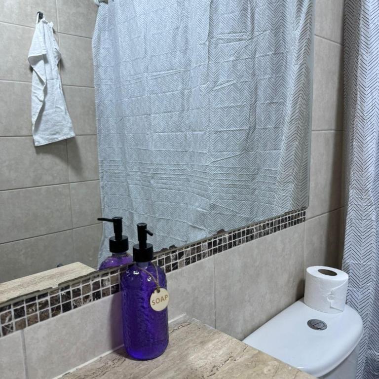 Nuestro tocornal - Apartamento de 1 dormitorio - 6