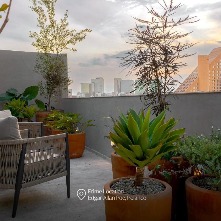 Capitalia Antara Polanco - Premium Apartment, City View - 13