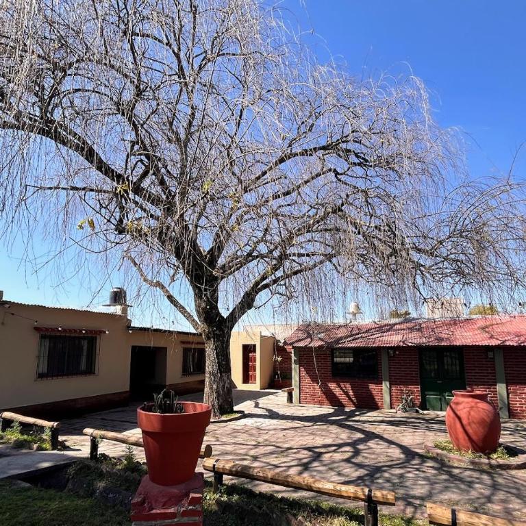Mi Rancho - Casa De Campo Para Descanso Familiar - Casa de 3 dormitorios - 1