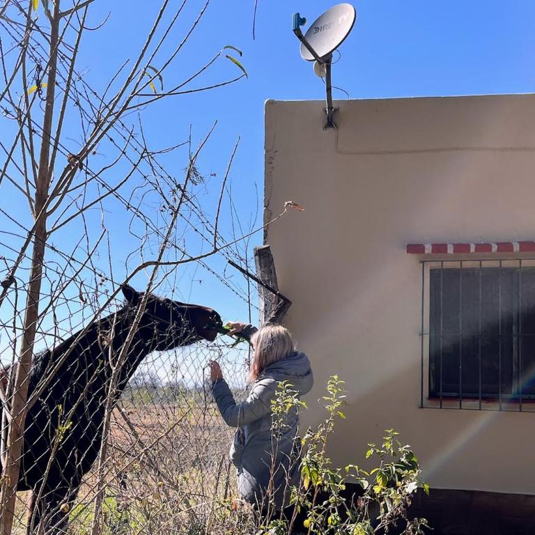 Mi Rancho - Casa De Campo Para Descanso Familiar - Casa de 3 dormitorios - 23