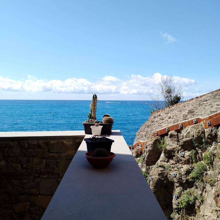 L'Incanto Divino Di fronte solo l'orizzonte! - Apartment with Terrace - 20