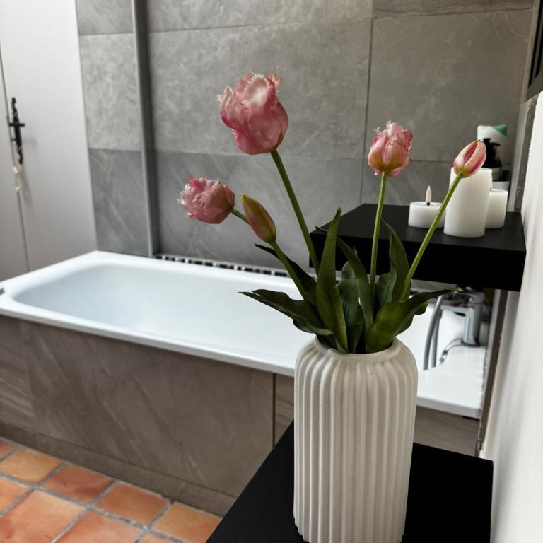 N°5 - Appartement avec jardin au cœur de l'hypercentre - Appartamento con 1 Camera da Letto - 16