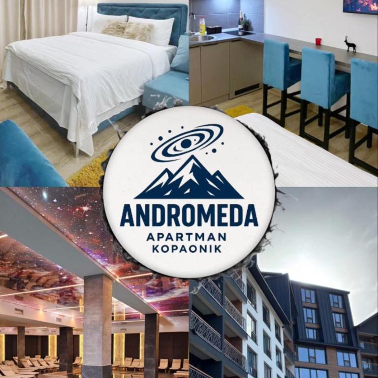 Andromeda Apartment Residence Hill Kopaonik - One-Bedroom Apartment - 1