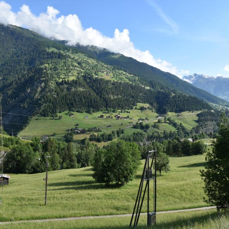 Cozy Stay near Aletsch - Two-Bedroom Holiday Home - 21