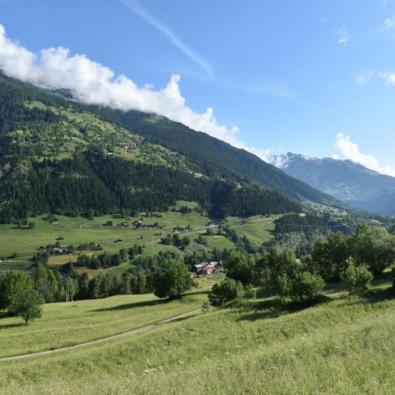 Cozy Stay near Aletsch - Two-Bedroom Holiday Home - 19