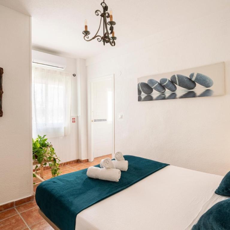 Central Top-Floor Apartment near Cathedral with Private Terrace - 3A - One-Bedroom Apartment - 16