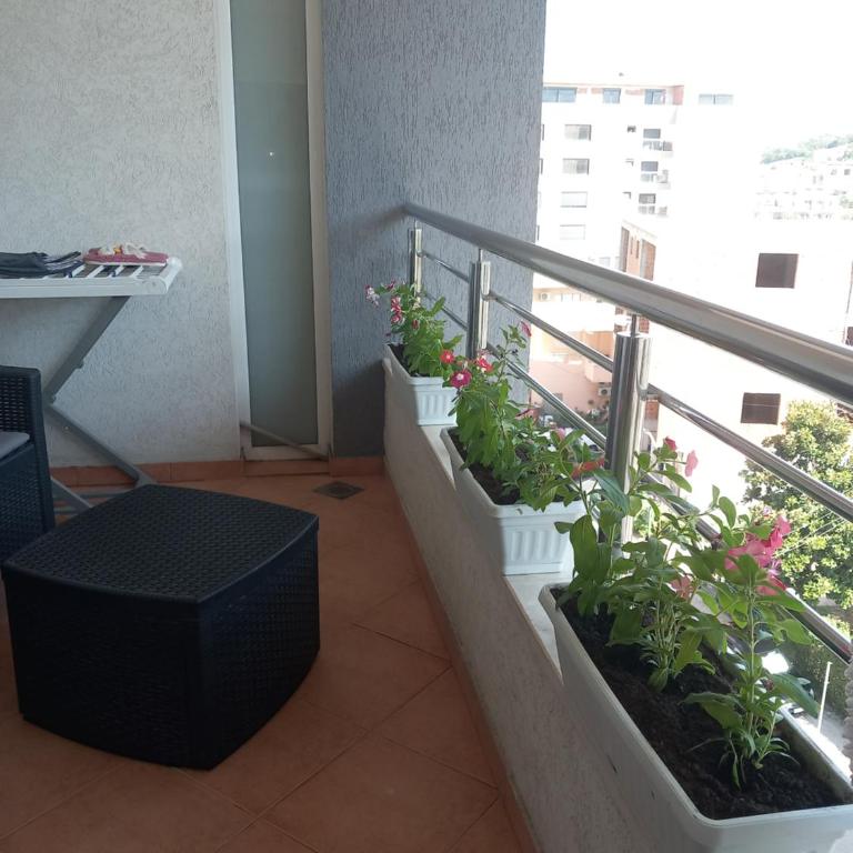 APARTMENTS ANI Ester - Apartman sa 1 Spavaćom Sobom - 2