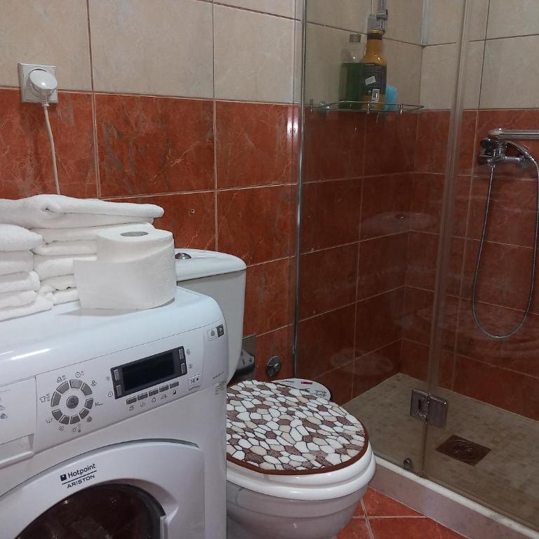 APARTMENTS ANI Ester - Apartman sa 1 Spavaćom Sobom - 6