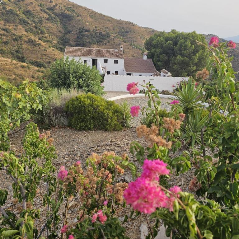 Cortijo J&S Juan Salvador - Habitación Familiar con vistas a la montaña - 17