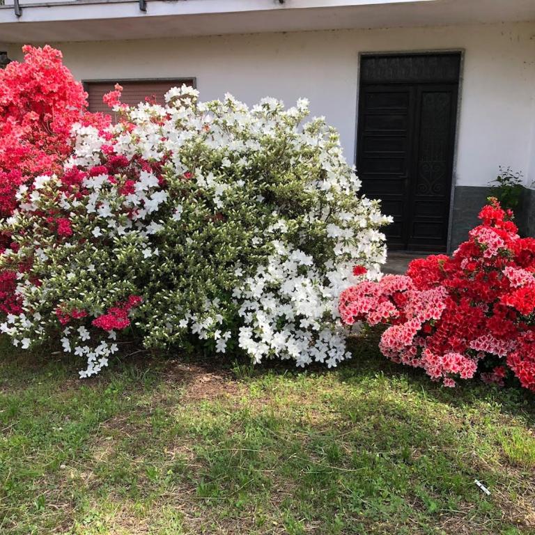 Il Nespolo - Casa con 2 Camere da Letto - 5