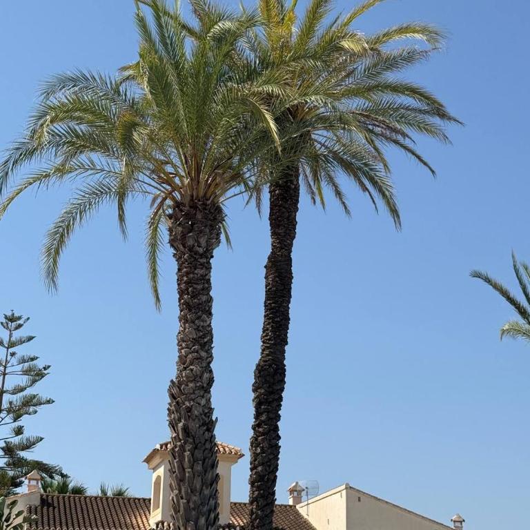Villa Salitre, urbanización Vera Coast - Apartamento de 1 dormitorio - 40