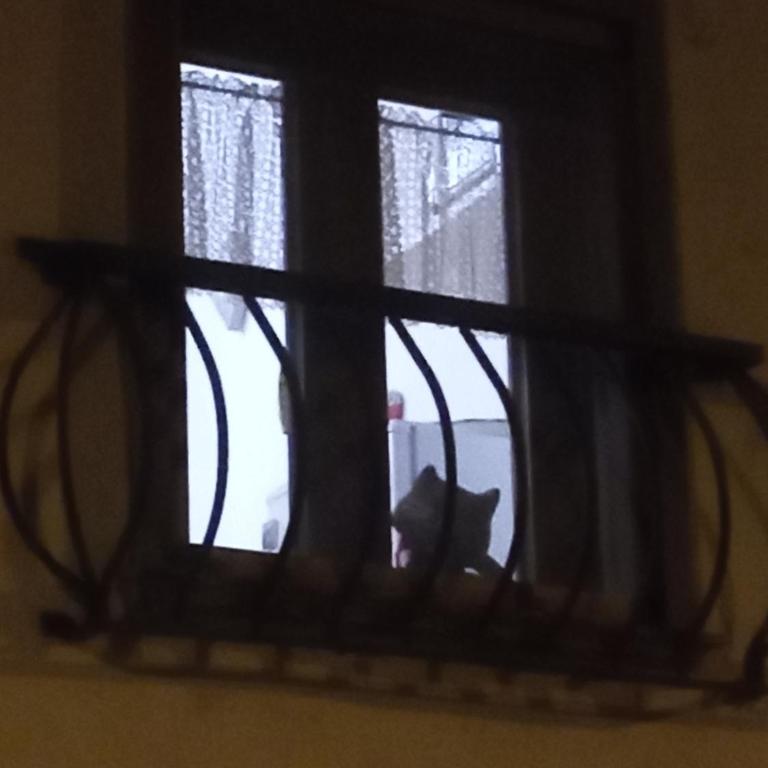 Alloggio Turistico di Patrizia - Appartamento con 1 Camera da Letto - 8
