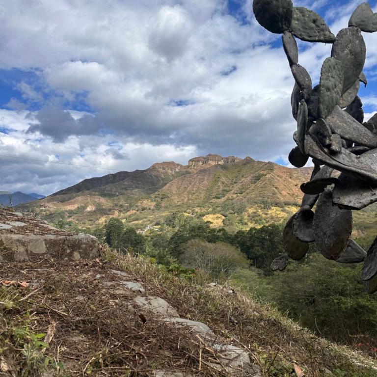 Casa Kalpa Vilcabamba - Casa de 2 dormitorios - 16