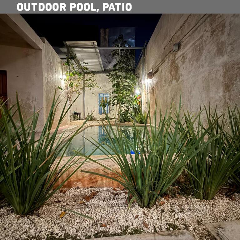 Casa para 12 persona con Piscina, Mérida Centro, Casa Nido Rosa - Habitación Cuádruple con baño privado - 19