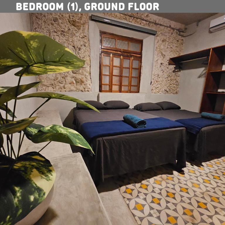 Casa para 12 persona con Piscina, Mérida Centro, Casa Nido Rosa - Habitación Cuádruple Estándar - 25