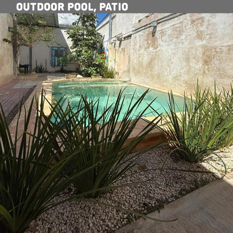 Casa para 12 persona con Piscina, Mérida Centro, Casa Nido Rosa - Habitación Cuádruple con baño privado - 39