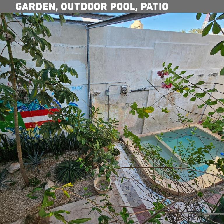 Casa para 12 persona con Piscina, Mérida Centro, Casa Nido Rosa - Habitación Cuádruple con baño privado - 36