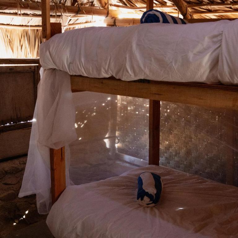 The Baja Station - Bed in 6-Bed Mixed Dormitory Room - 2