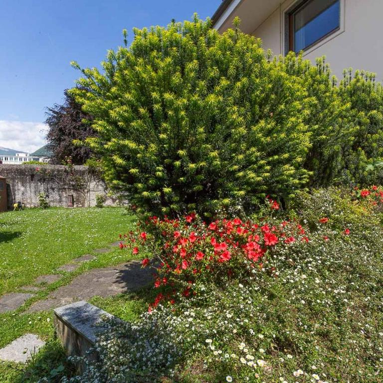 La Petite Dame - Lake Maggiore - 100 m from the lake - Casa Vacanze - 42