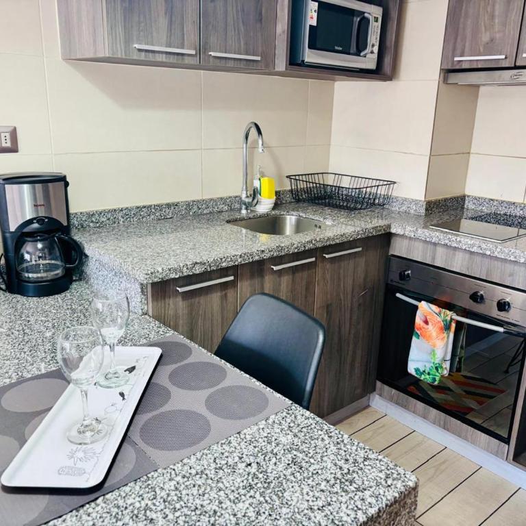 Hermoso Apartamento en la Capital de Chile - Apartamento de 1 dormitorio - 7
