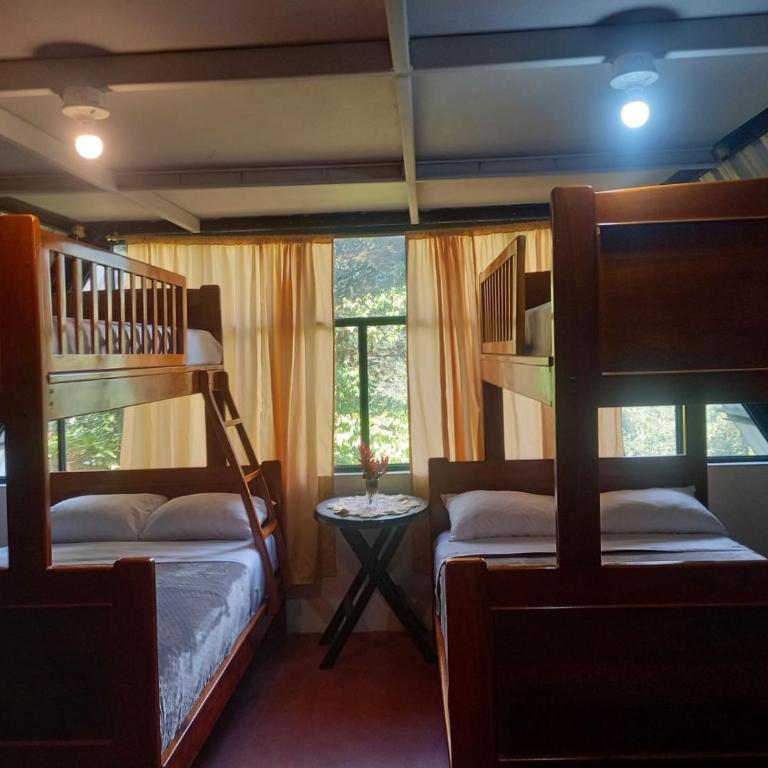 Mindo Golden Bird II - Apartamento - 2