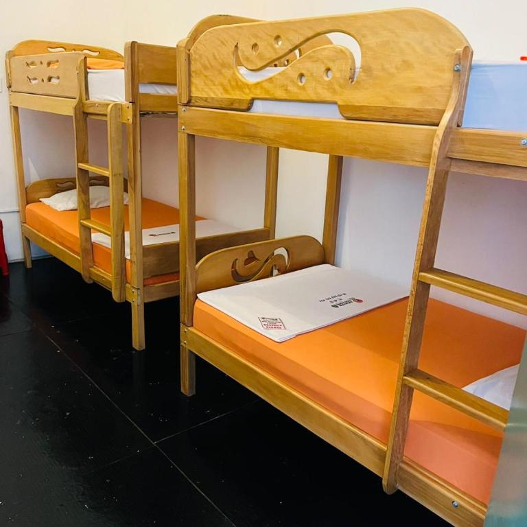 A&T Amazon Backpacker - Rooftop - Habitación compartida mixta de 10 camas - 1