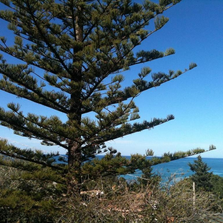 Apartment in Villa Sea Horizon Sand Beach - Casa con 2 Camere da Letto - 6